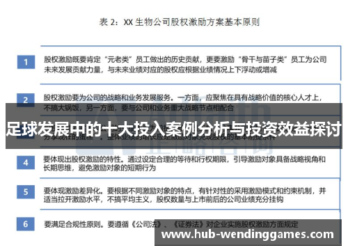 足球发展中的十大投入案例分析与投资效益探讨