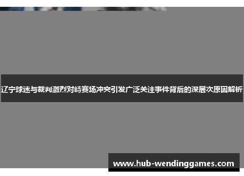 辽宁球迷与裁判激烈对峙赛场冲突引发广泛关注事件背后的深层次原因解析