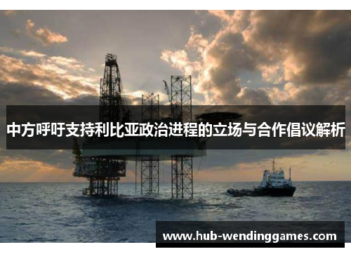 中方呼吁支持利比亚政治进程的立场与合作倡议解析