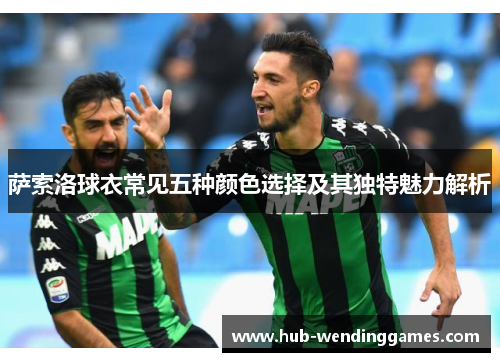 萨索洛球衣常见五种颜色选择及其独特魅力解析